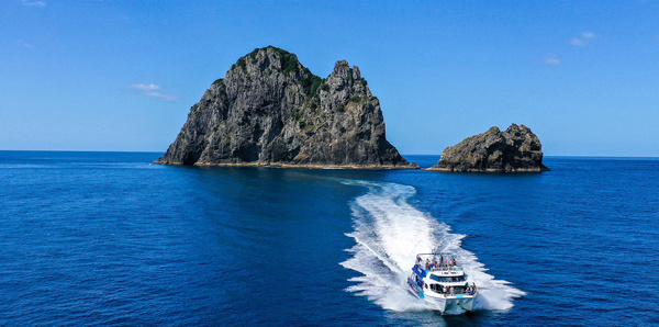 Wellington, New Zealand